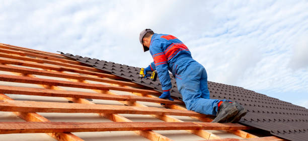 Best Wood Shake Roofing  in Palmer Lake, CO