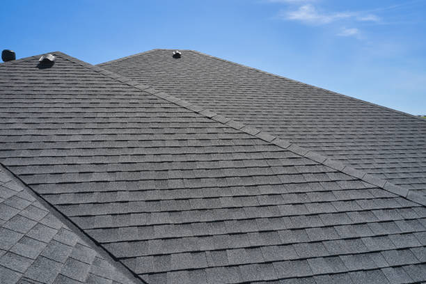 Best Metal Roofing Installation  in Palmer Lake, CO
